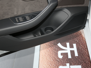 2019Ŀ Plus 50 TFSI quattro m g