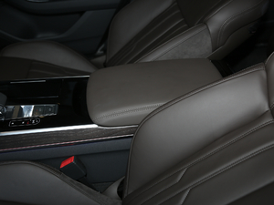 2019Ŀ Plus 50 TFSI quattro m 