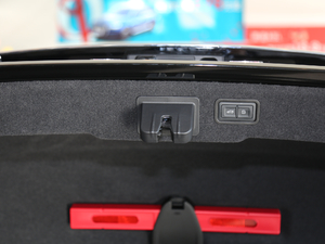 201955TFSI quattro A g