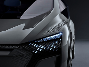 2019������ �������^