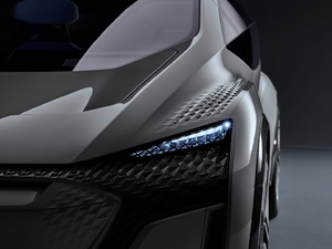 2019������ �������^