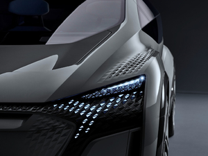 2019������ �������^