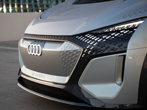 2019������ �������^