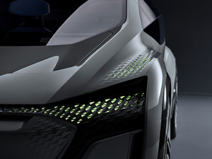 2019������ �������^