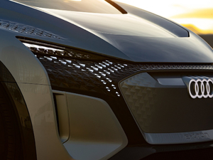 2019������ �������^