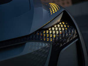 2019������ �������^