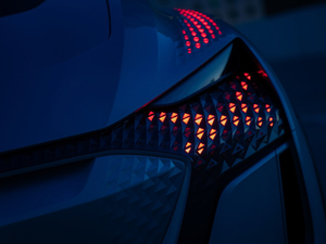 2019������ �������^