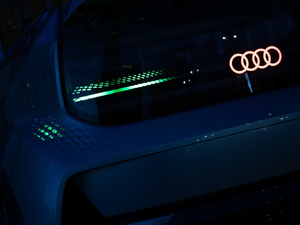 2019������ �������^