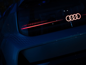 2019������ �������^