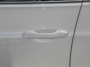 2020h 40 TFSI A(dng) {T