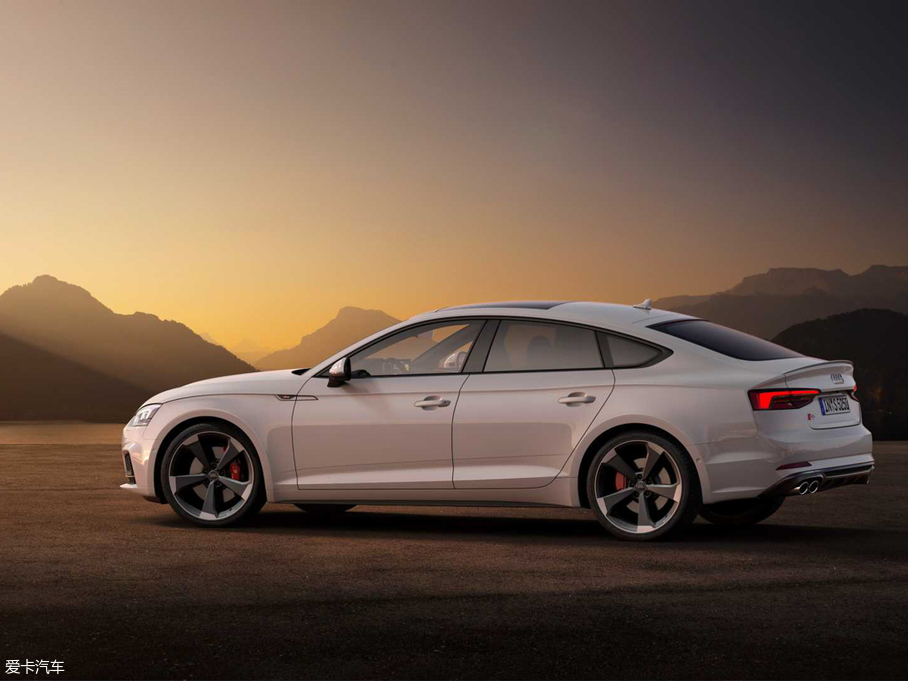 2019WS5 3.0TDI 48VͰ