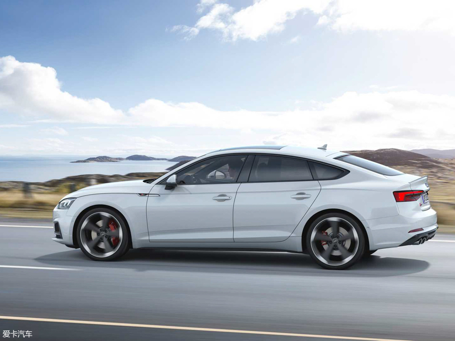 2019WS5 3.0TDI 48VͰ