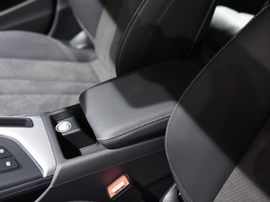 2020h 40 TFSI A(dng) 