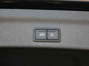 2020̽ 55 TFSI ԽҰ g