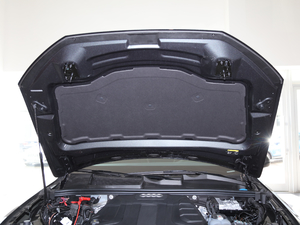 202045 TFSI quattro 팣 