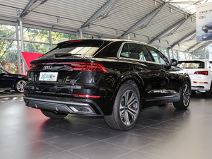 2019��55 TFSI ����Ӹ��� ���w���^