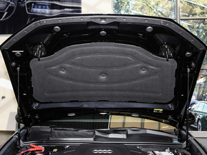 2019��55 TFSI �����(d��ng)���� ����