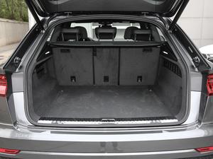 2019��55 TFSI ����Ӹ��� ��������g