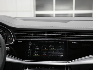 2019��55 TFSI ����Ӹ��� ���{���L��