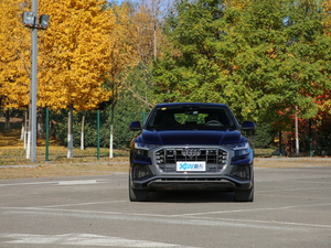 2019��55 TFSI ����Ӹ��� ���w���^