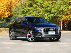 2019��55 TFSI ����Ӹ��� ���w���^