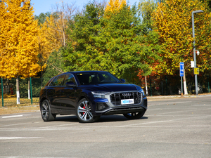 2019��55 TFSI ����Ӹ��� ���w���^