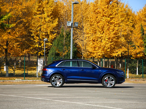 2019��55 TFSI ����Ӹ��� ���w���^