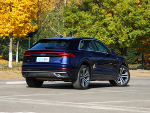 2019��55 TFSI ����Ӹ��� ���w���^