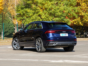 2019��55 TFSI ����Ӹ��� ���45��