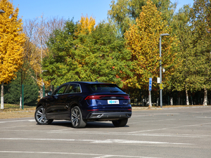 2019��55 TFSI ����Ӹ��� ���w���^