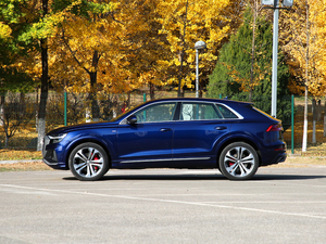 2019��55 TFSI ����Ӹ��� ���ȣ���