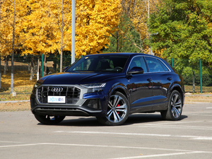 2019��55 TFSI ����Ӹ��� ��ǰ45��