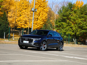 2019��55 TFSI ����Ӹ��� ���w���^