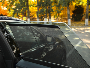 2019��55 TFSI ����Ӹ��� ���g����