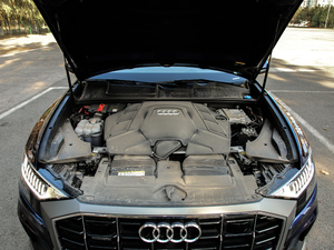 2019��55 TFSI ����Ӹ��� �l�әC