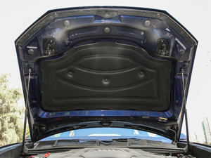 2019��55 TFSI �����(d��ng)���� ����