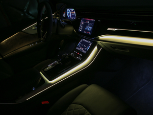 2019��55 TFSI ����Ӹ��� ����