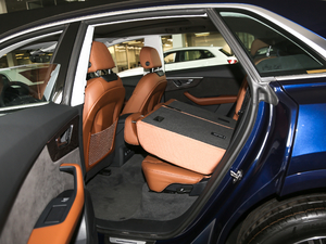 2019��45 TFSI ���x�Ӹ��� �������ηŵ�