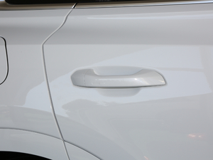 2019��45 TFSI ���A������ ���{�T����