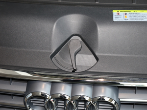 2020��Cabriolet 40 TFSI �r���� ��VI ����