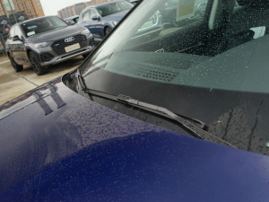 2021��Sportback 55 quattro ���A�� ��ˢ