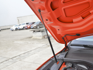 2021��Sportback 55 quattro ���x�� ����