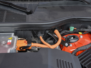 2021��Sportback 55 quattro ���x�� ����