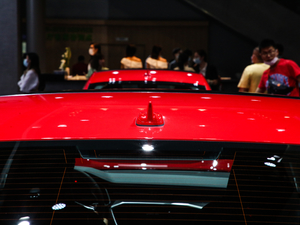 20212.9T Limousine ^