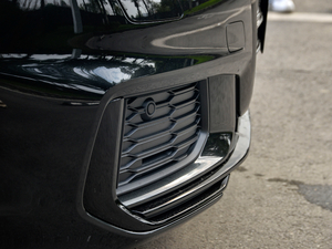 20212.9T Limousine ^