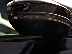 20212.9T Limousine ^