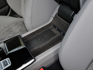 20212.9T Limousine g