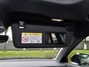 20212.9T Limousine g