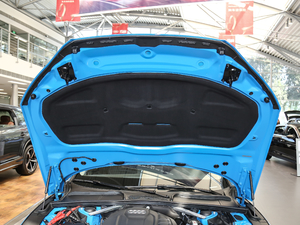 202145 TFSI quattro xӸ 