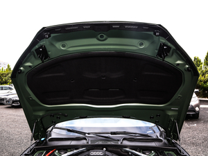 202145 TFSI quattro x(dng) 